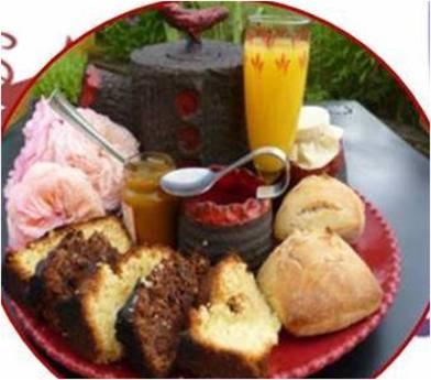 Le Nid Perché Bed and Breakfast Saint-Sauveur-en-Puisaye Esterno foto
